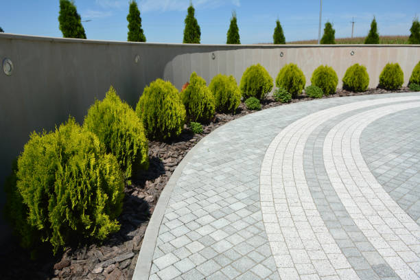 Best Local Driveway Pavers  in Wyncote, PA
